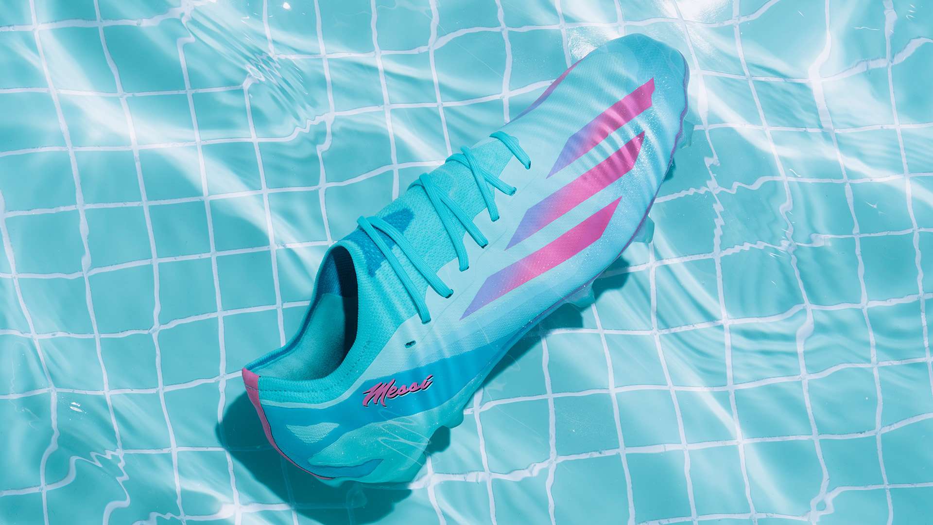 梦者无畏风 梦者无畏风