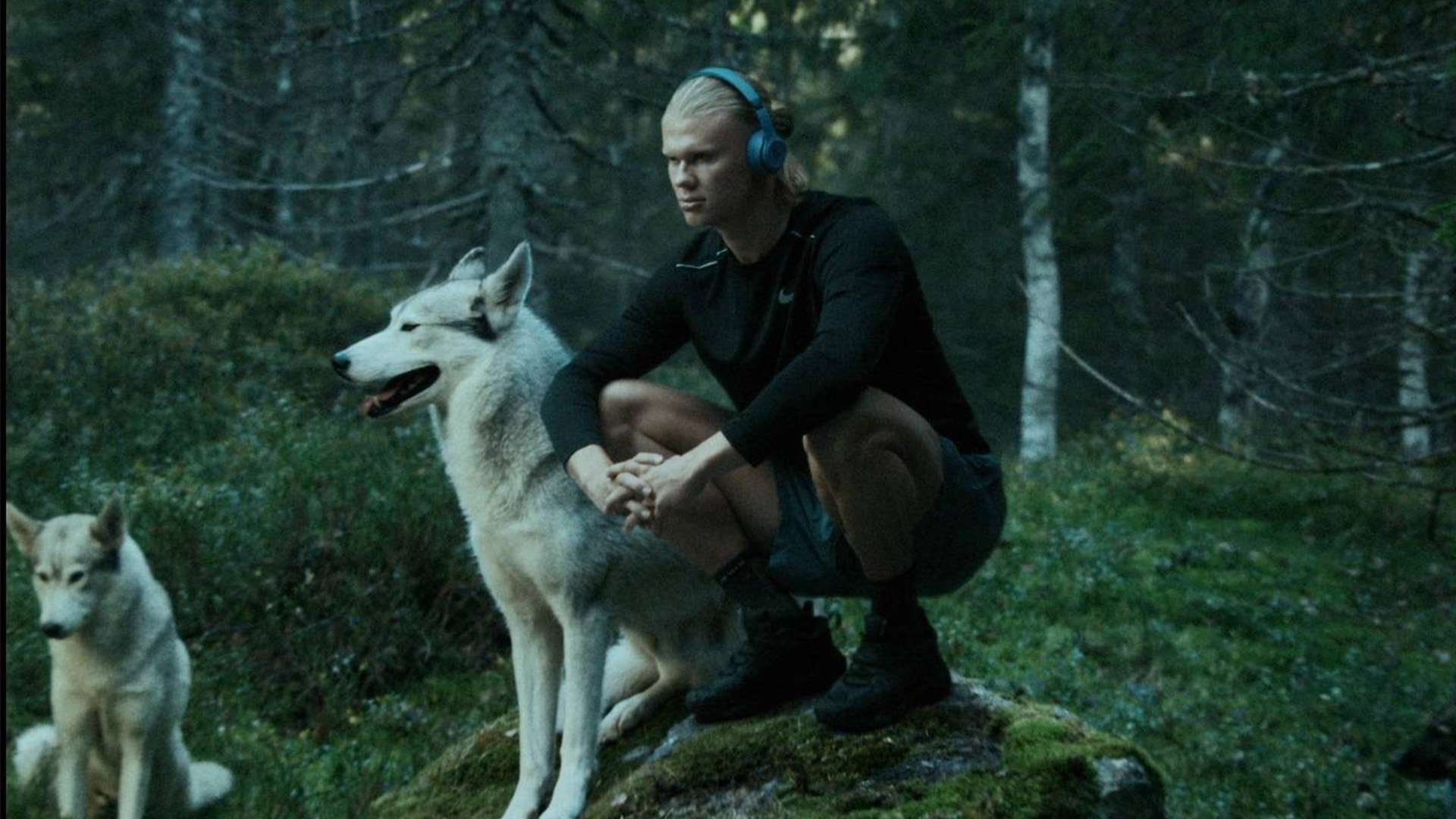 通过这种个 通过这种个